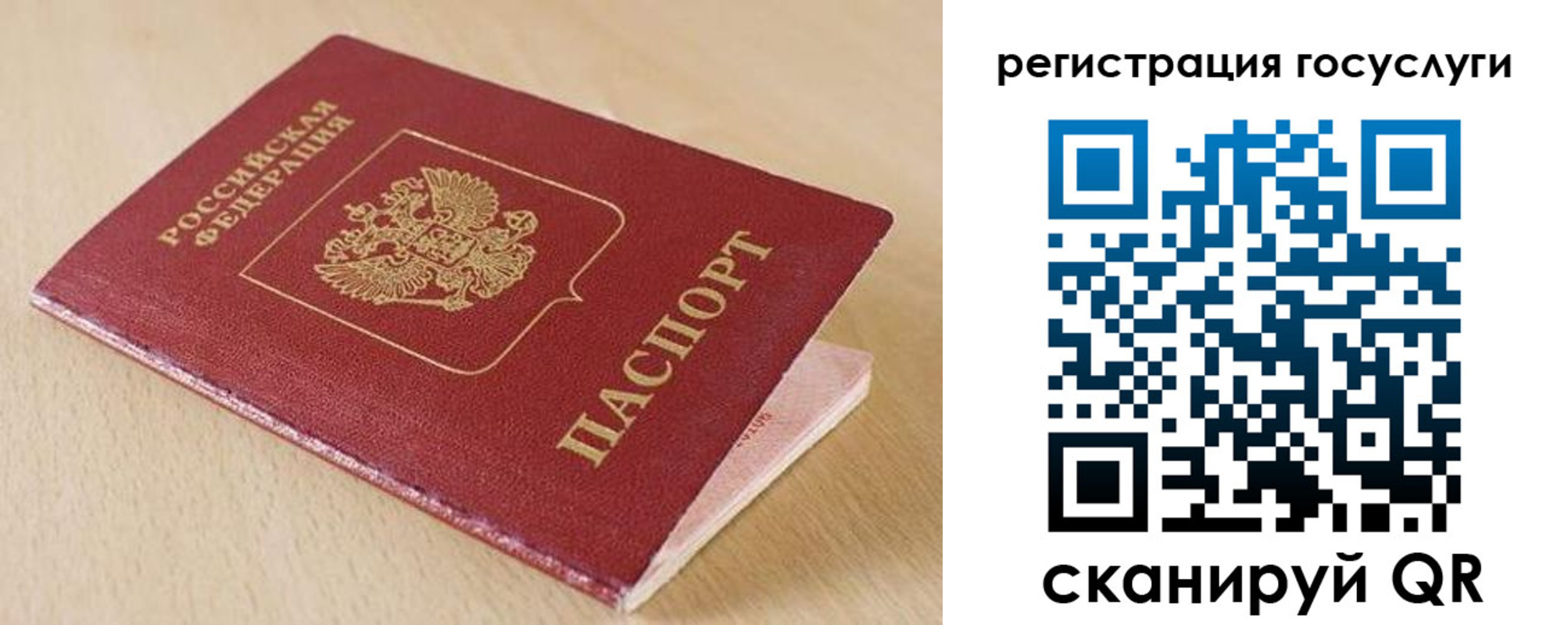 временная регистрация гарантия в Химках