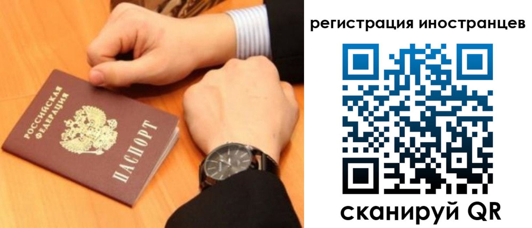 прописка гарантия в Химках